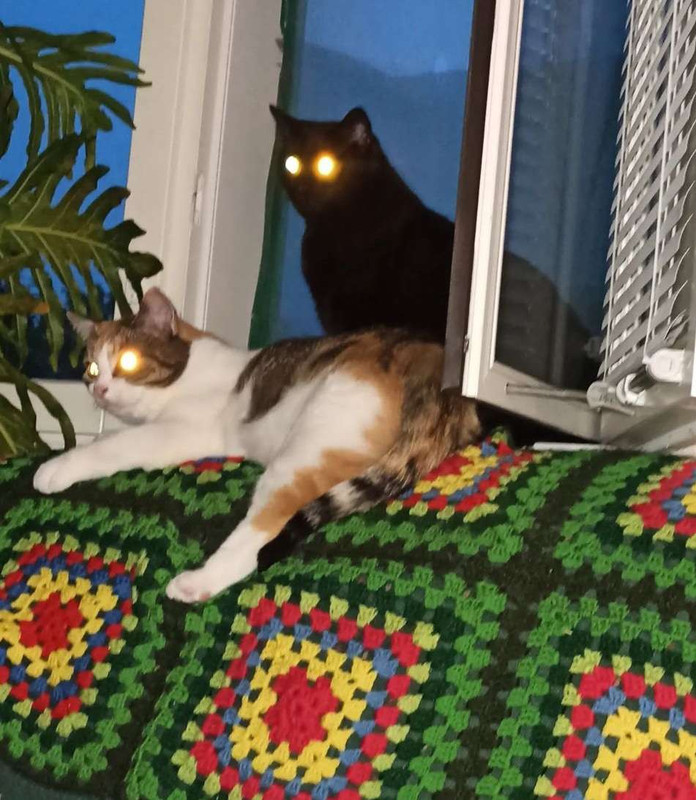 IMG_20230820_212522_623