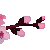 [Image: 2sakuraki.gif]