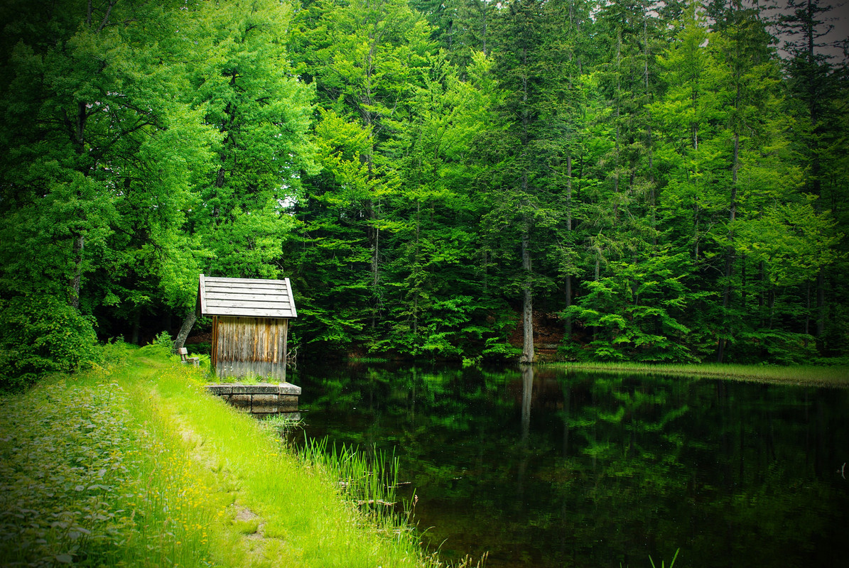 green-wooden-hut.jpg