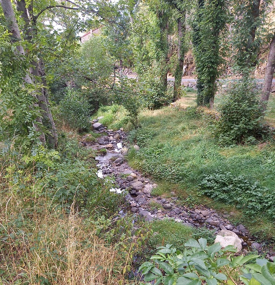 20230911-161630.jpg