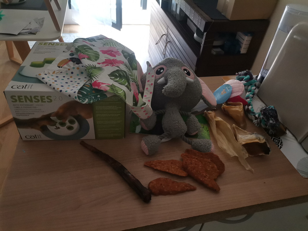 [Image: IMG-20230611-150534.jpg]