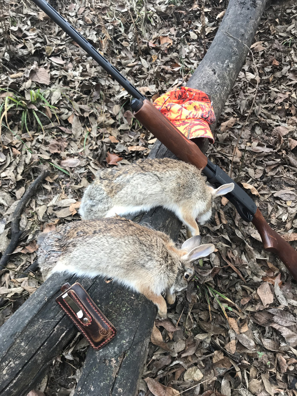 4FEE88EA-4451-4378-A98A-837B1AD2B010