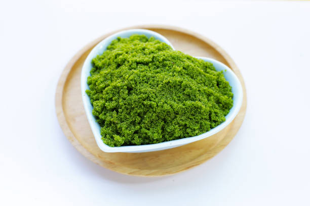sea moss supplement