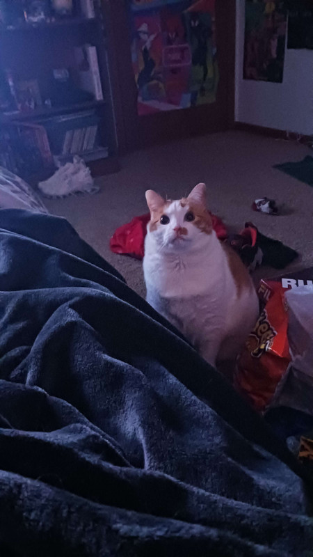 what's his problem?