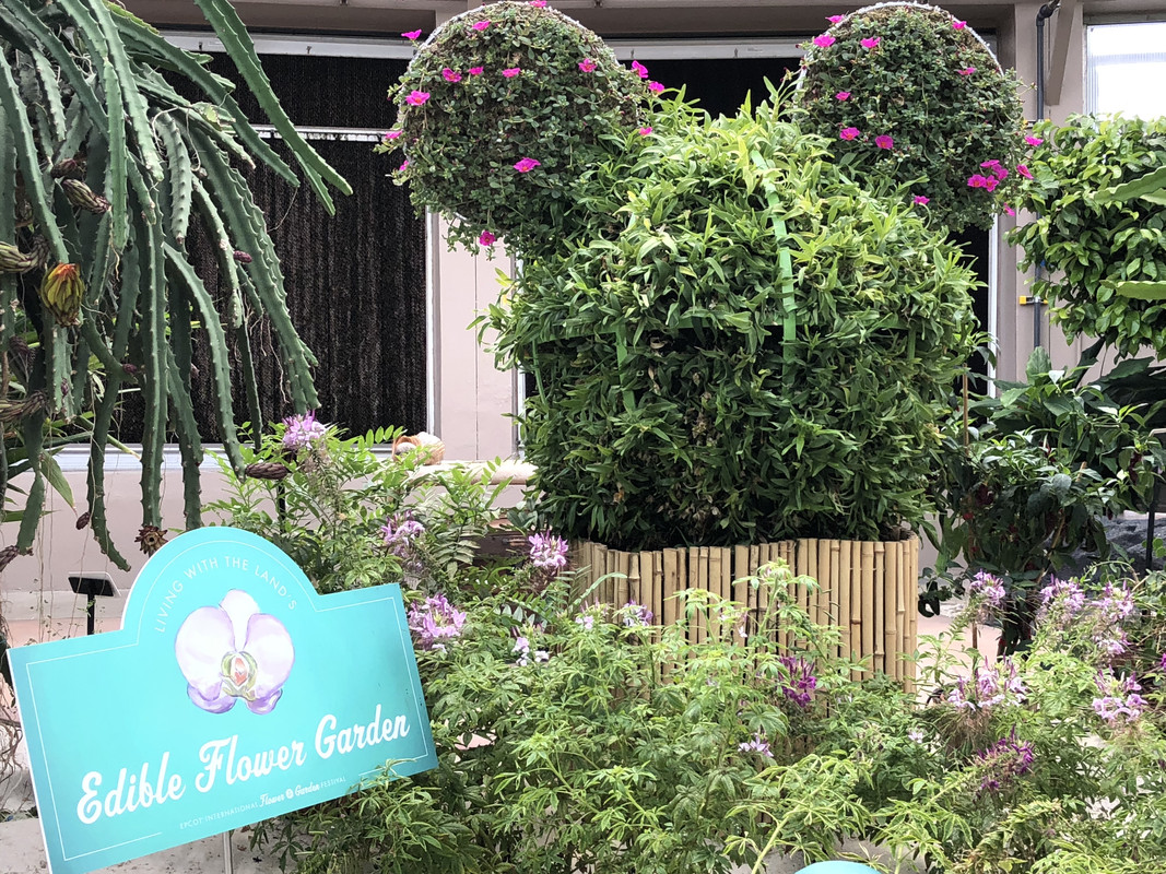 52A12A55-AEF0-4D03-95C4-53C434B188E5