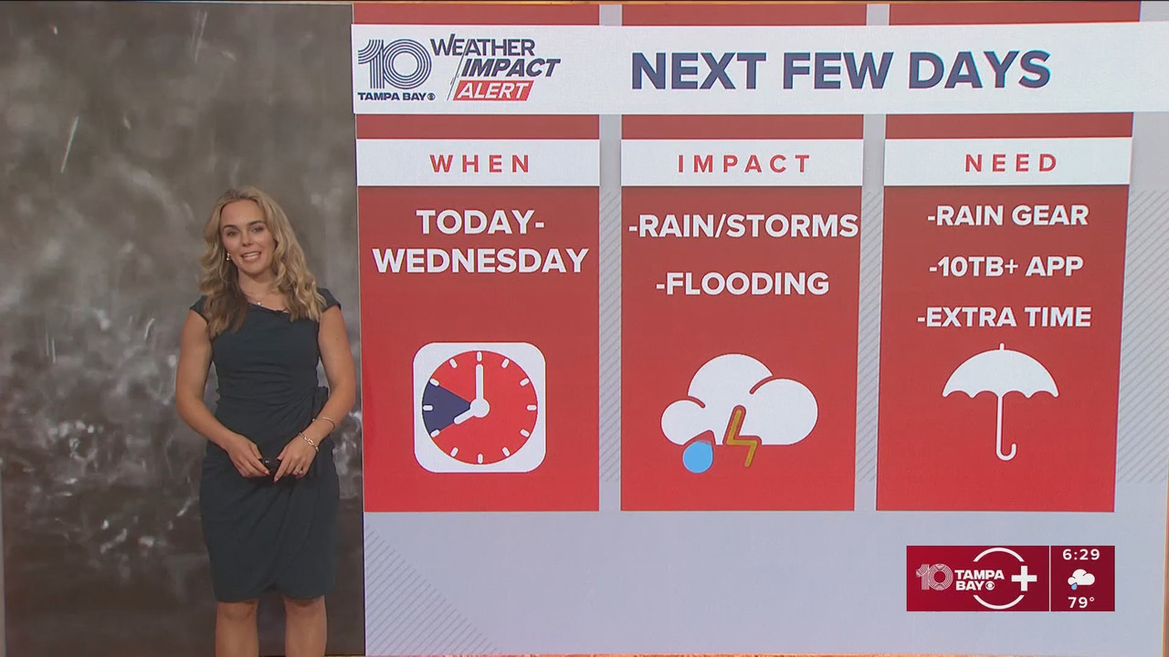 10 Tampa Bay News This Morning at 600 a.m_20250908_11001200.ts_snapshot_31.04.990