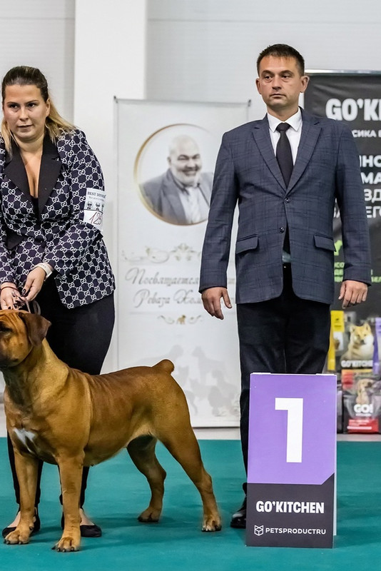 cnFrXvR5txkCU7KshB7GWK1wQXYzjrRphjzvvtuRG8kJH3ZARDvdq5cv7lpf6XHnkjB4lw6Rcan3Ti0Ub1Uf1b4L