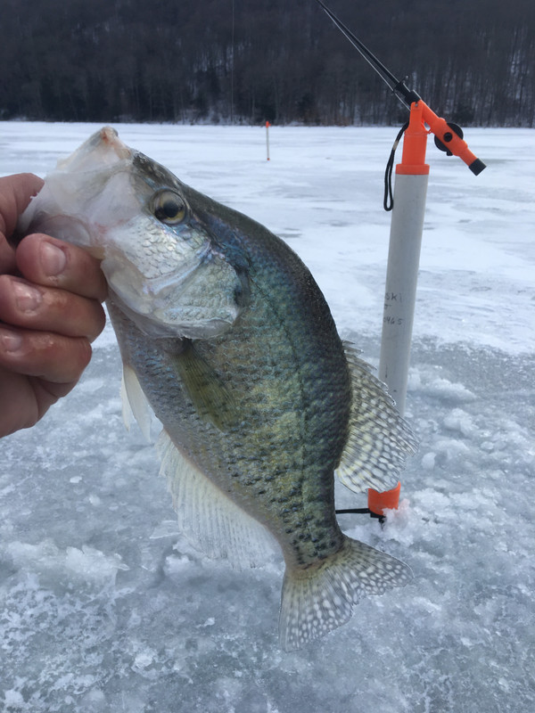 9851615C-3F69-4610-BAC1-11A533F0FDB0