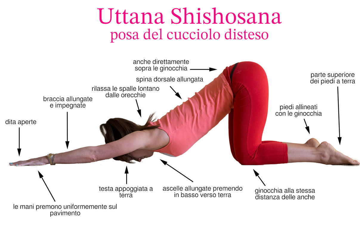 Uttana-Shishosana.jpg