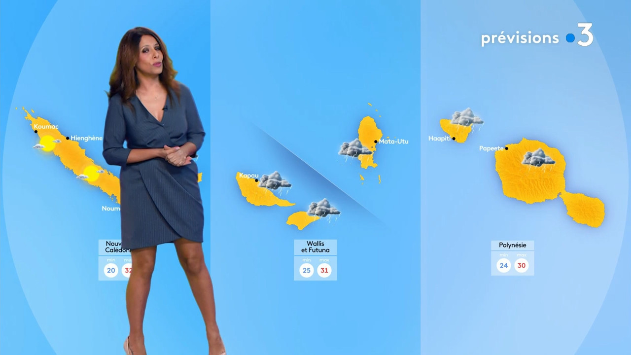 2022-01-12_11_30_Fr3_Meteo.mp4_snapshot_08.54.165