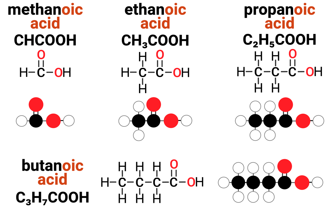 Homologous Series: Carboxylic Acids