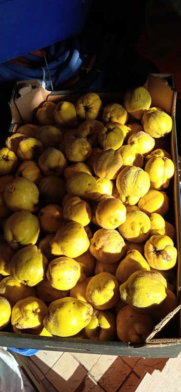 IMG_20221102_115621_1[1]