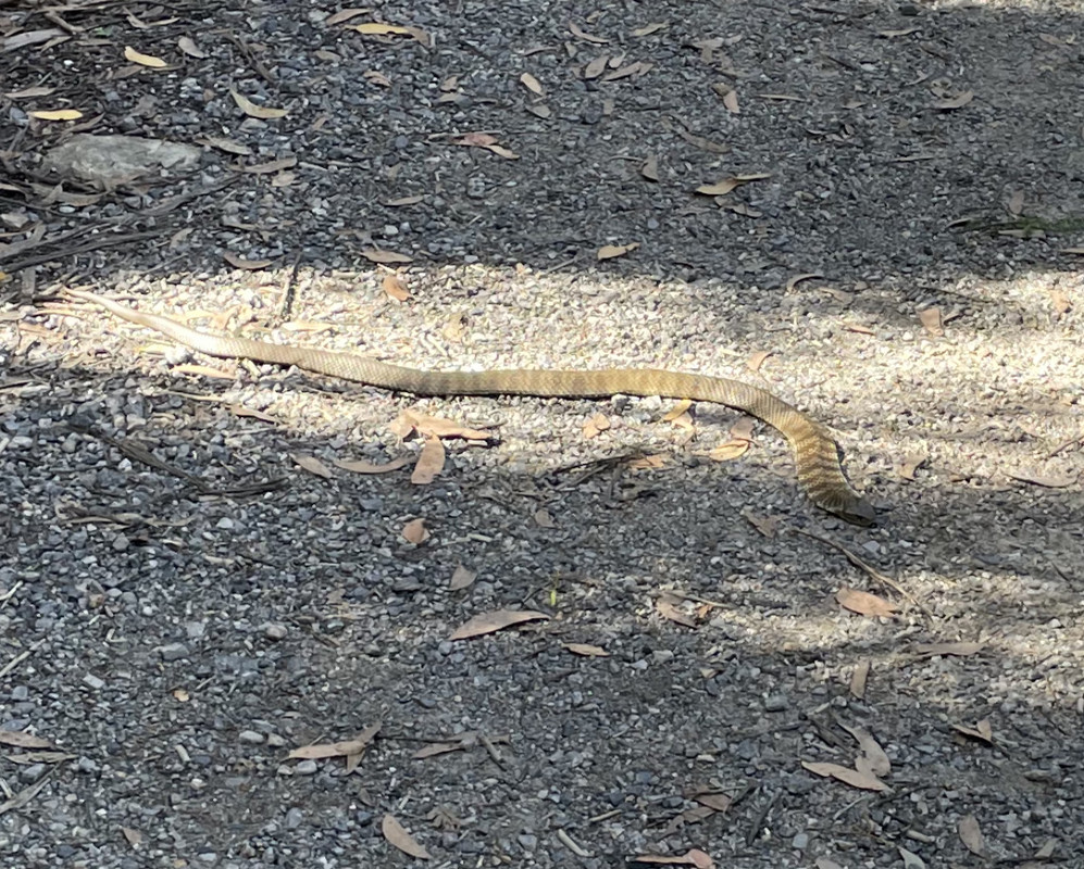 47BA2038-5BC6-437B-A42F-46DFFD4522DD