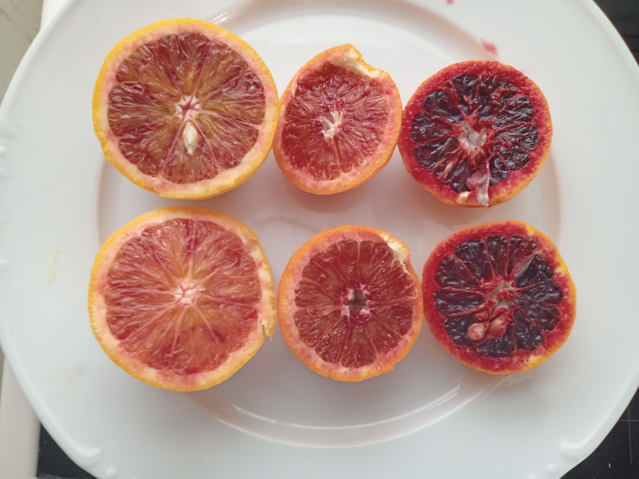 IMG 20260103 103255689 MFNR