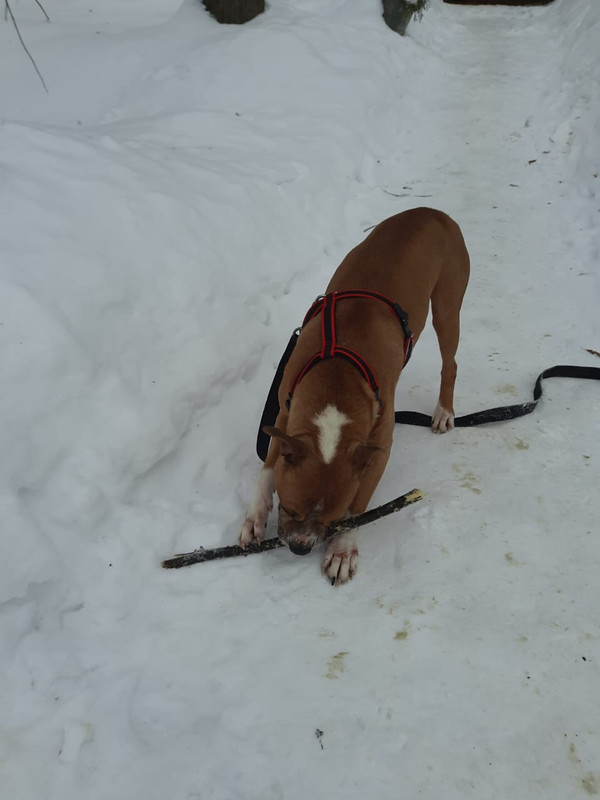 87702751-5357-4478-95B2-52018A340B8F