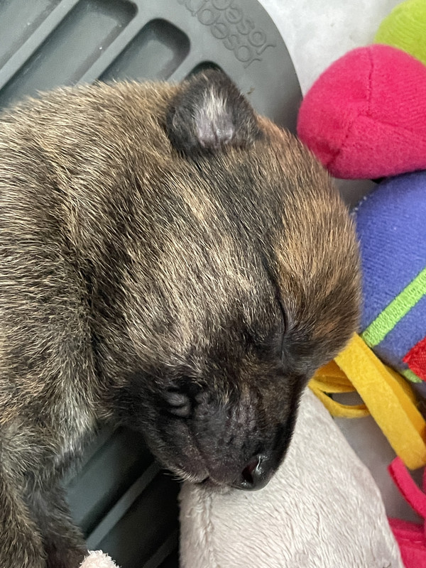 66B7DFBA-E105-4522-AFDD-70EFB237BAF4