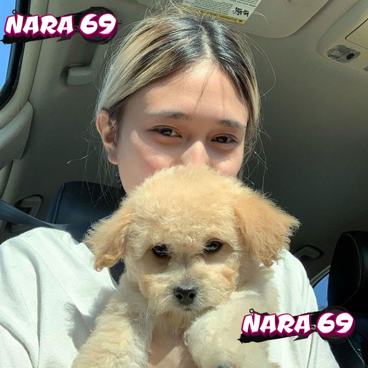 NARA69 : Komunitas Persatuan Game Online Solidaritas Tingkat Daerah image 1