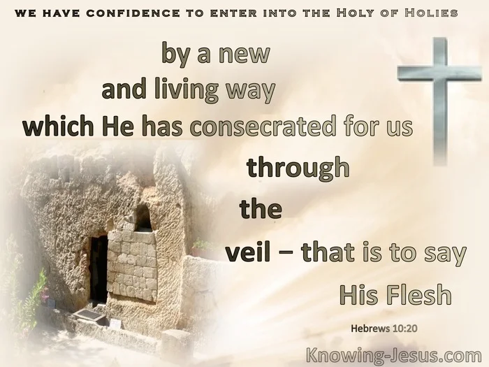 Hebrews-10-20-A-New-And-Living-Way-The-Veil-His-flesh-brown