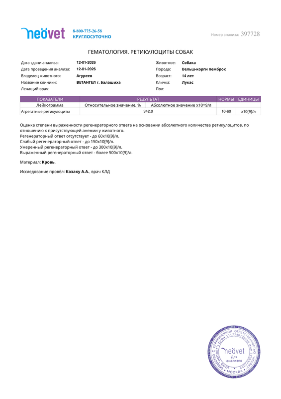 result (1)