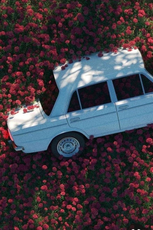 Screenshot_20230907_000054_Pinterest