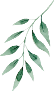 Aust-Leaves-3