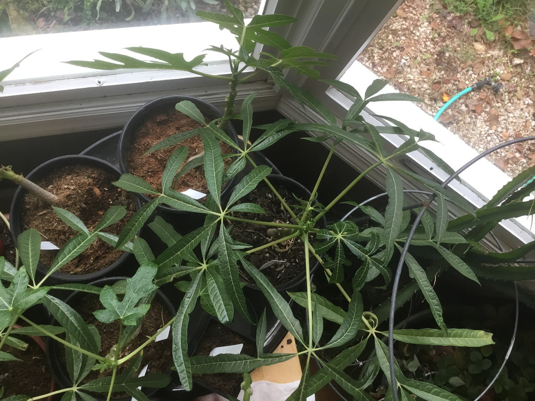 FB81D6CE-D1AD-4C63-8DAA-72A6B1501B75