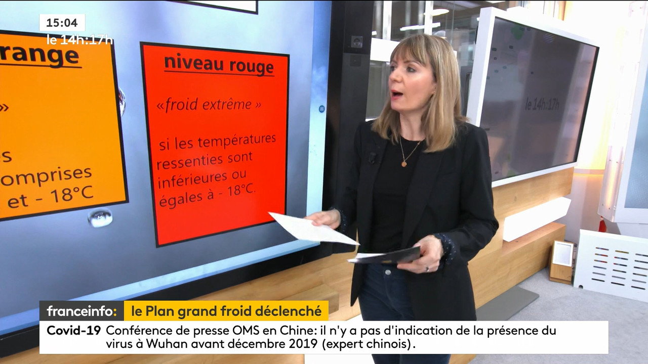 02.09 - 12.59.00 - Le 14h-17h. Au sommaire   Vrai ou fake. - francein..._001.ts_snapshot_00.16.311