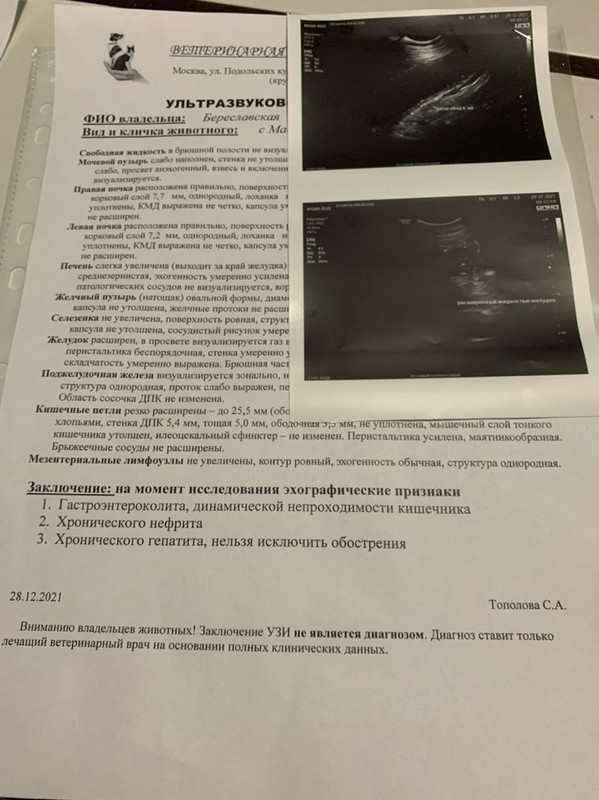 https://i.postimg.cc/XYndHb0w/IMG-20211229-WA0007.jpg