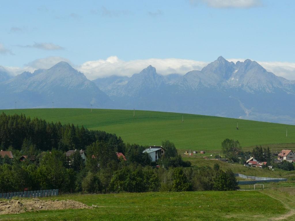 [Obrazek: f154a8380eb74ccb.jpg]