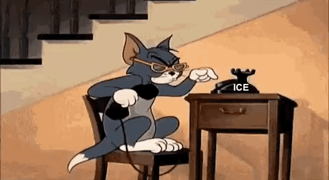 IMG-7622.gif