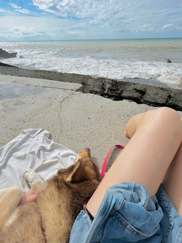 8200F101-E575-4E8B-8657-A8A3686CFF06