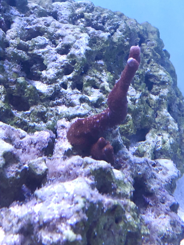 46CDE48C-C8C8-4E57-B1C5-13DEB1CA7819