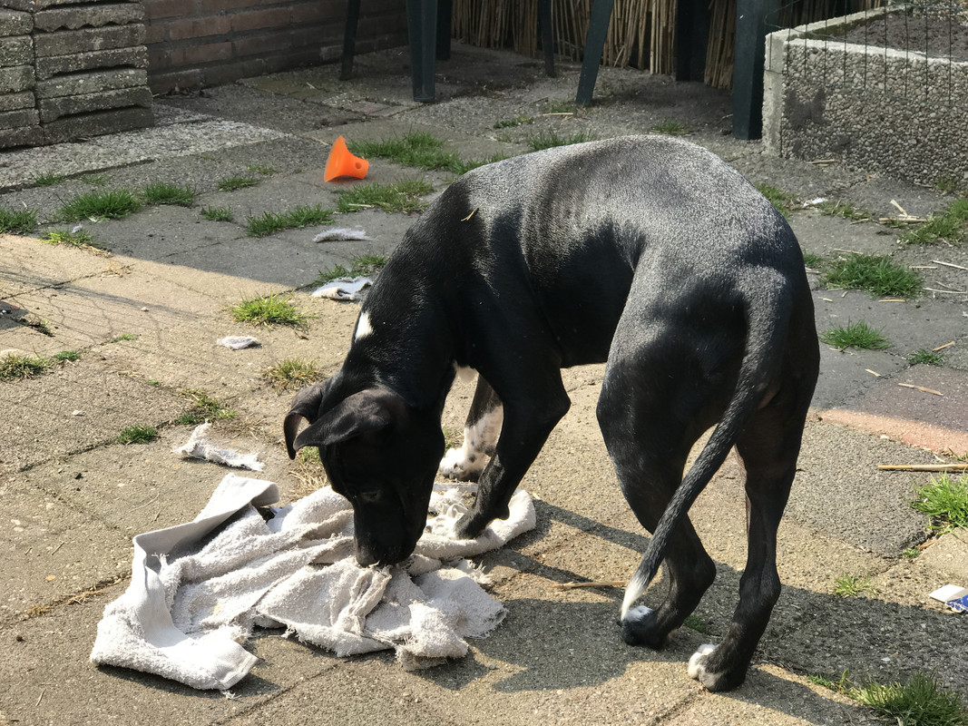 7CA6EFB8-0EEF-4528-AD75-B2FF0A431685