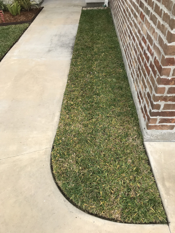 56C2E156-CE93-45D1-80E0-73BF9914BF64