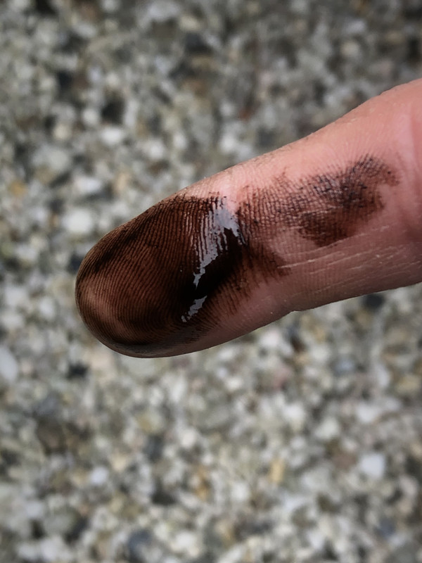 C96685E9-2D87-4F09-ADFA-1B29EC18377A