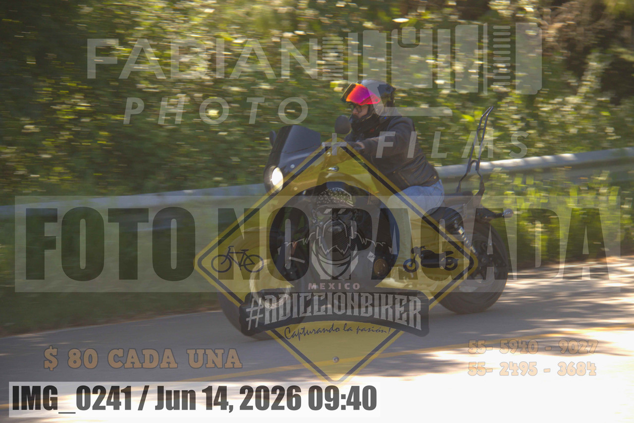 IMG 0241