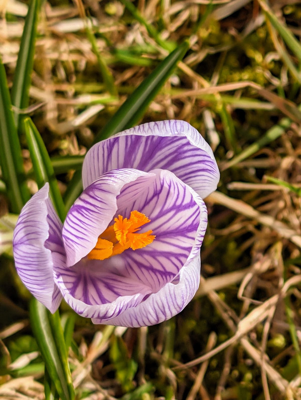 PXL_20240415_190142050.MP