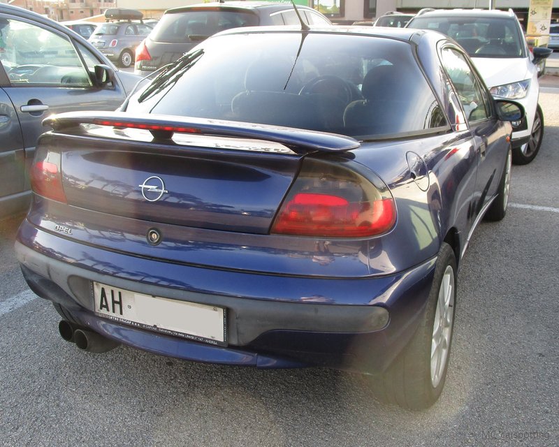 IMG-5692.jpg