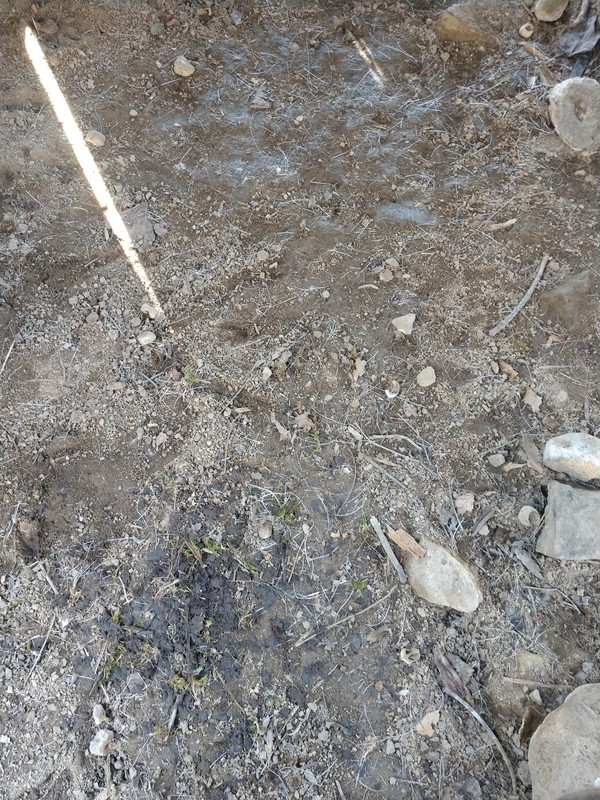 IMG_20180509_103612456