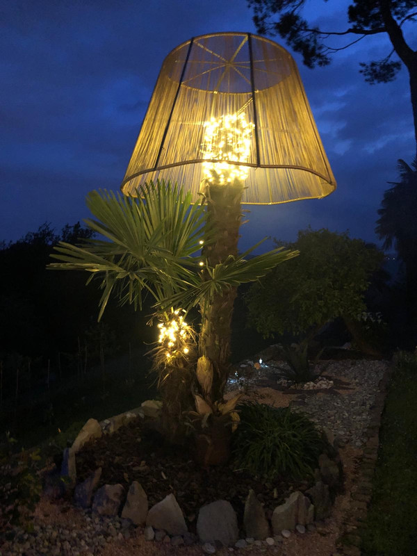 BAE1C47D-0F32-4DF5-A42F-995537EB6674