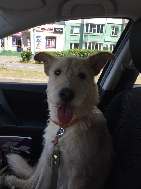 IMG-5fa93e84ad706bbce534f1ff120a81de-V