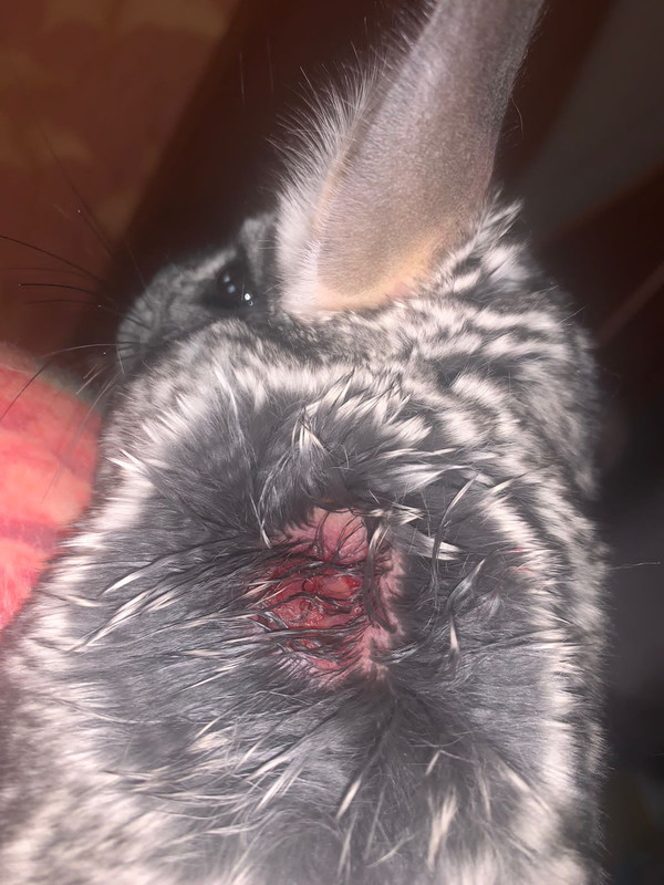 B821B45A-CEEF-40B2-BBA3-85E33FD3F65C