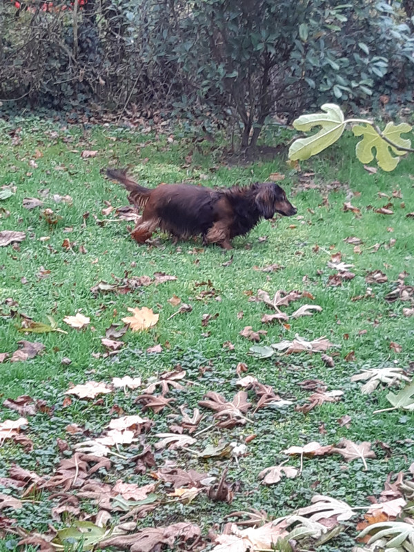 [Image: 20211110-150905.jpg]