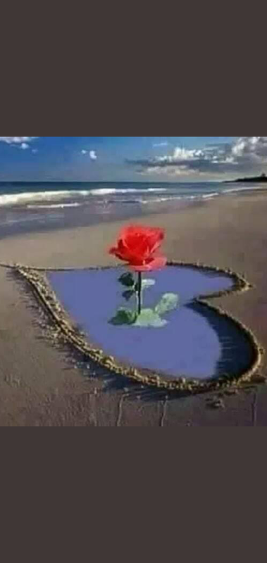 Screenshot_٢٠٢١٠٥٠٥-١١٠١٢٦