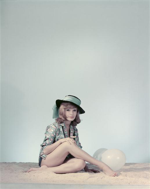 dany saval b84