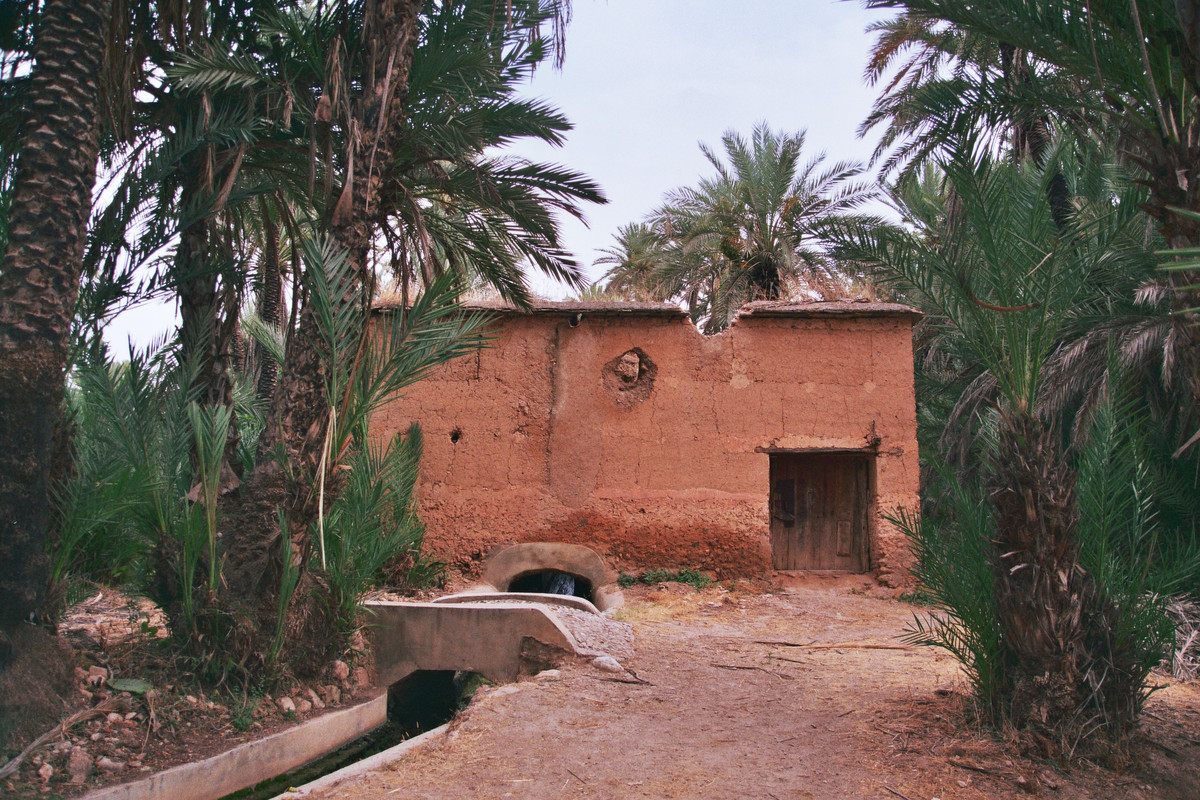 El Palmeral de Tioute (Taroudant), Nature-Morocco (1)