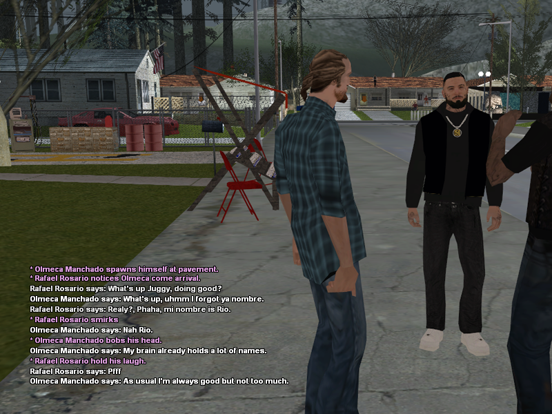 SSRoleplay489.png