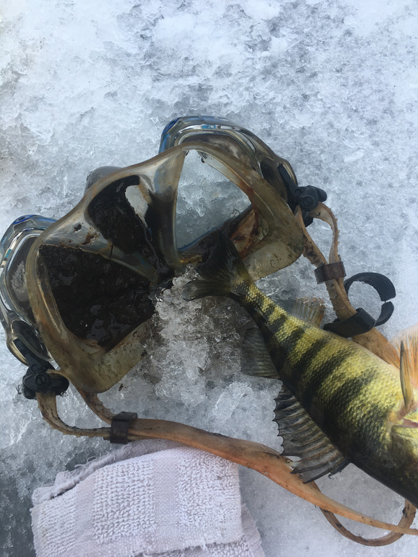 69CCCC6C-D187-40E1-8113-E27849F41AAB