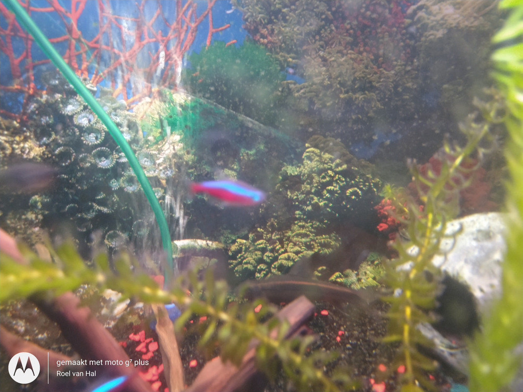 IMG_20201106_222858362