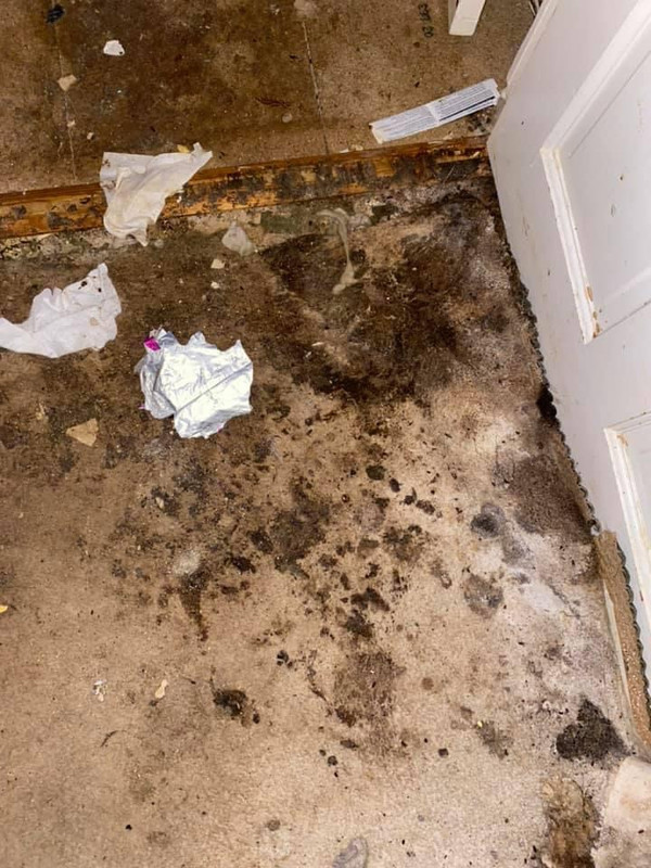 5715410C-CD7B-43AE-B462-19FA0D84FB55